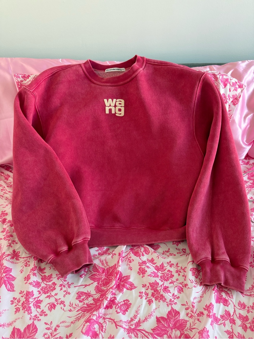 Alexander Wang Washed Red Logo Crewneck Sweatshirt